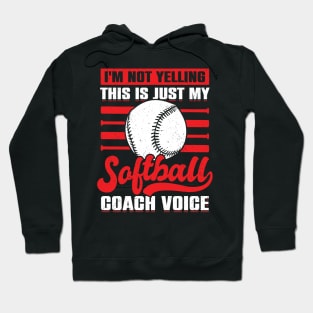 Funny Coaching Softball Coach Gift Hoodie